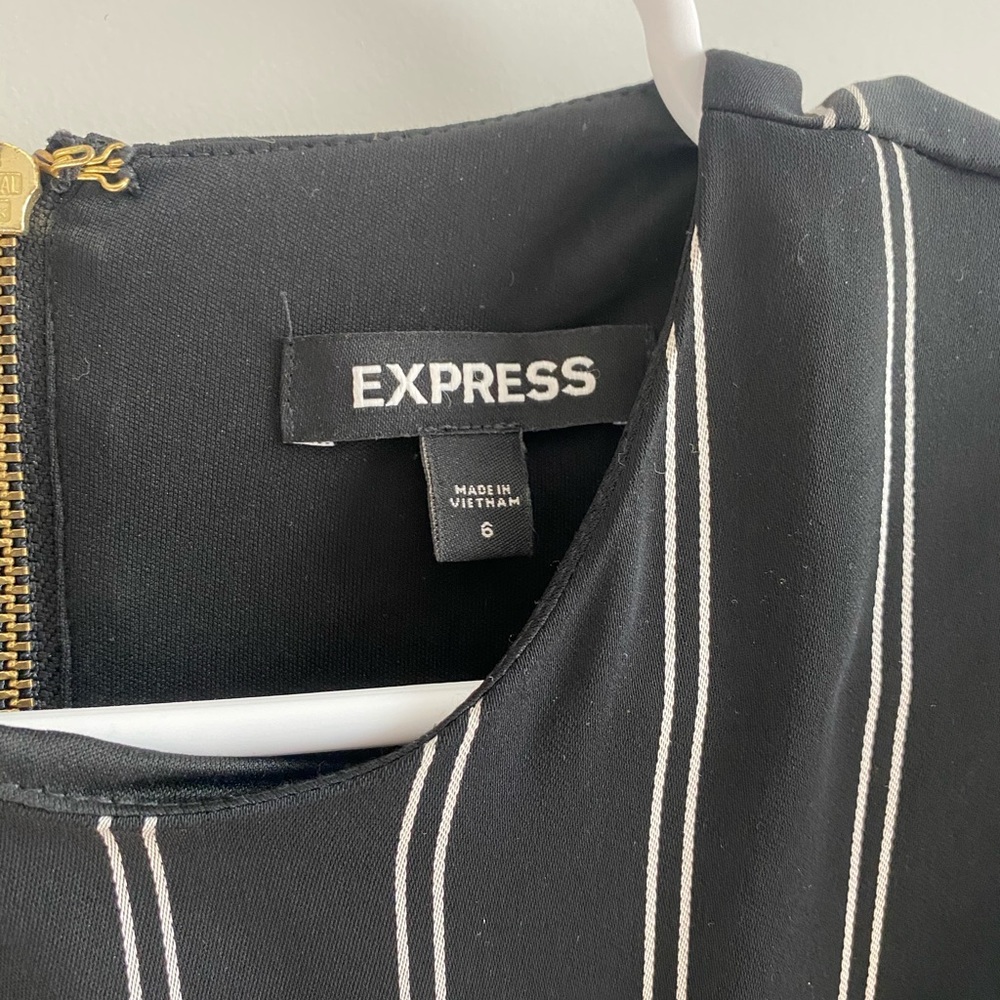Express Dress - Picture 4 of 5